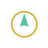 Autopilot icon